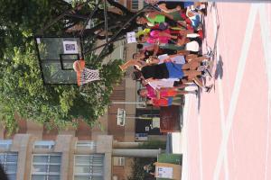 IMG 4242