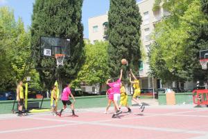 IMG 4590